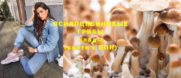 гашиш Каменногорск
