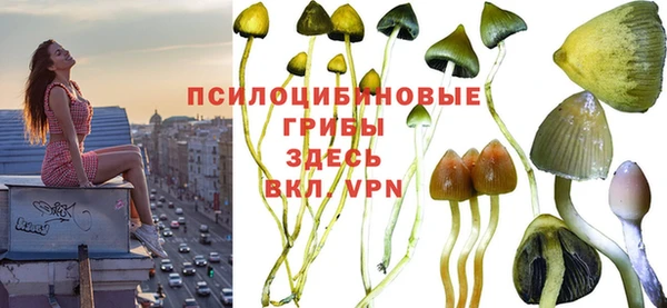 не бодяженный Каменка