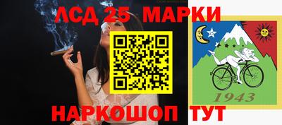 крисы Будённовск
