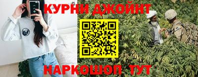 крисы Будённовск