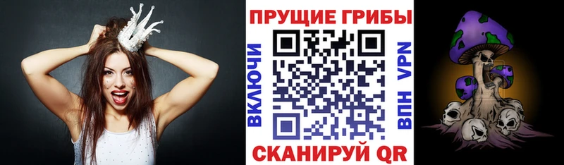 Галлюциногенные грибы GOLDEN TEACHER  KRAKEN ONION  Димитровград  наркотики 