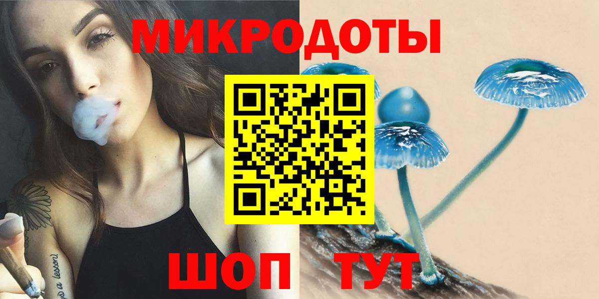 Псилоцибиновые грибы Cubensis  Димитровград 